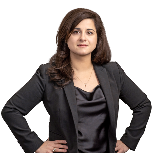 Andrea L. Bonvicino